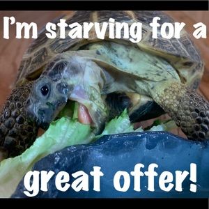 MAKE AN OFFER!